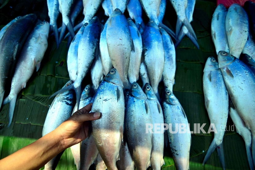 Penjual melayani pembeli ikan bandeng di Rawa Belong, Jakarta. Menjelang Perayaan Imlek pedagang bandeng musiman mulai menjamur.