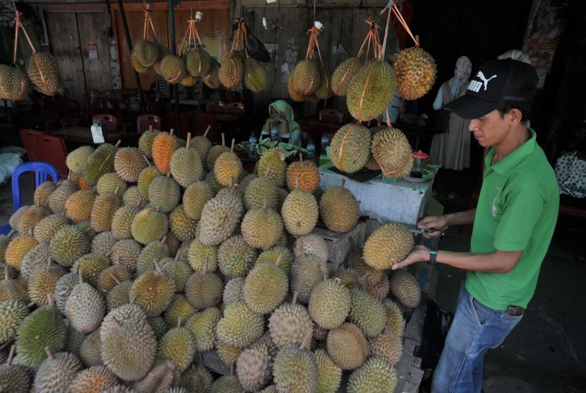Mangga Besar Sentra Durian di Jakarta Barat | Republika Online