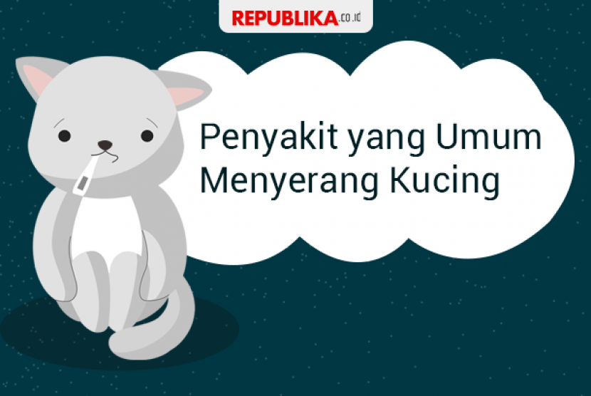 Penyakit yang umumnya menyerang kucing