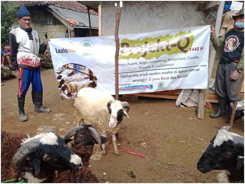 Penyaluran hewan kurban dari PCIM Jerman kepada warga di Cupunagara, Subang, Jawa Barat.