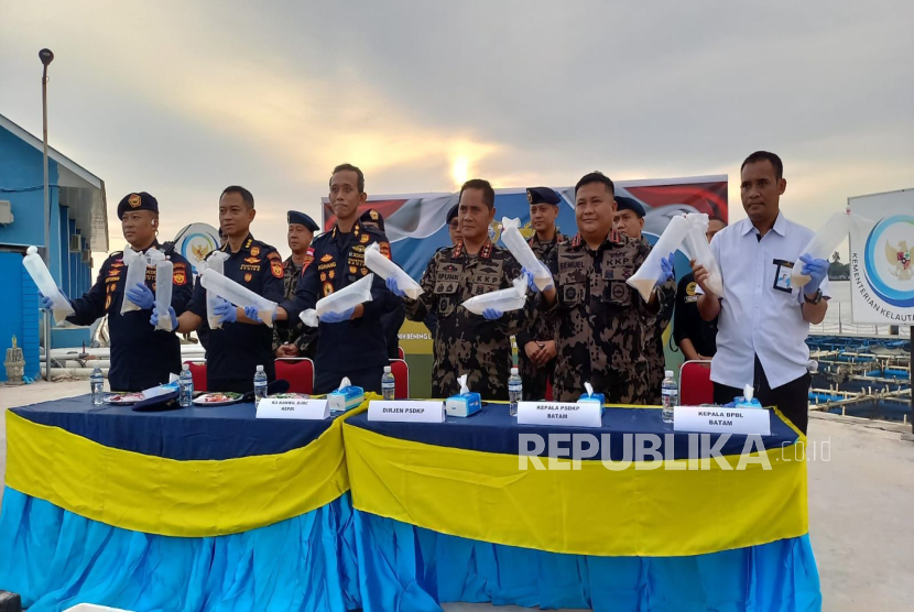 Bea Cukai Gagalkan Penyelundupan 281.583 Ekor Benih Bening Lobster di Perairan Utara Bintan