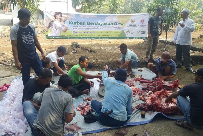Penyembelihan hewan kurban UPZ Kemenpora dan BAZNAS  di  Pondok Pesantren Al Mubaarak RT 02/06, Kampung Cibeureum, Desa Cibatok II, Kabupaten Bogor.