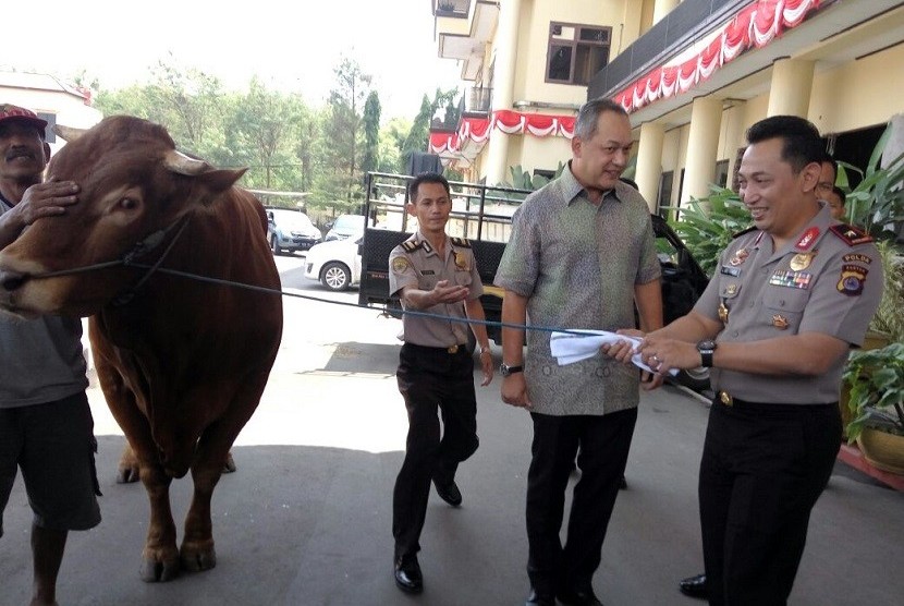 Penyerahan sapi limosin dari MNC Peduli ke Polda Banten
