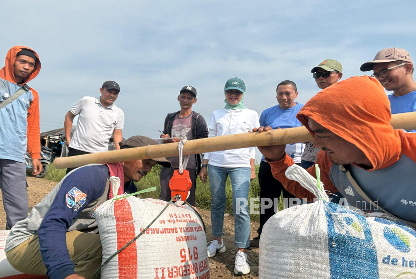 Penyerapan gabah beras petani lokal oleh Bulog Jabar