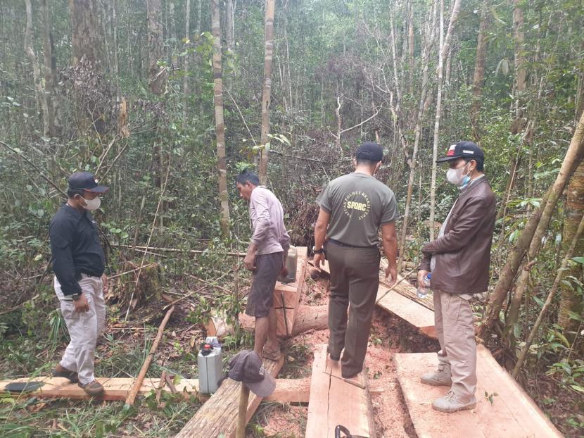 Penyidik KLHK membawa kayu yang merupakan bukti kasus pembalakan liar di hutan Desa Madara, Kecamatan Dusun Selatan, Barito Selatan, Kalimantan Tengah, Senin (6/9). 