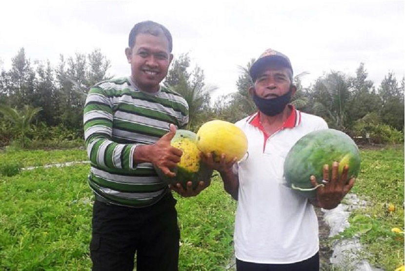 Penyuluh BPP Rakumpit, Mualim bersama petani semangka dari Poktan Oibama di Kota Palangkaraya