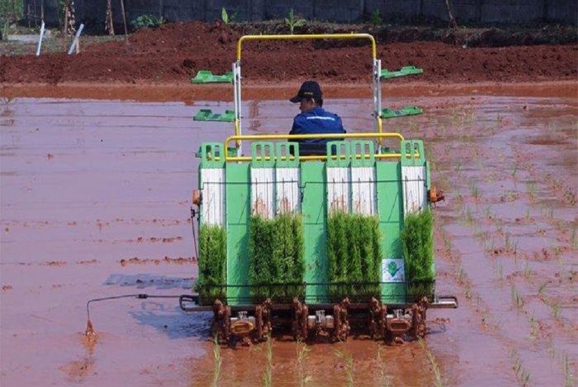 Penyuluh dari Dinas Pertanian Kabupaten Tuban dan BPTP Provinsi Jawa Timur aktif mendampingi kegiatan tanam padi seluas 148 hektar, gerakan pengendalian OPT jagung dan percepatan panen jagung. 