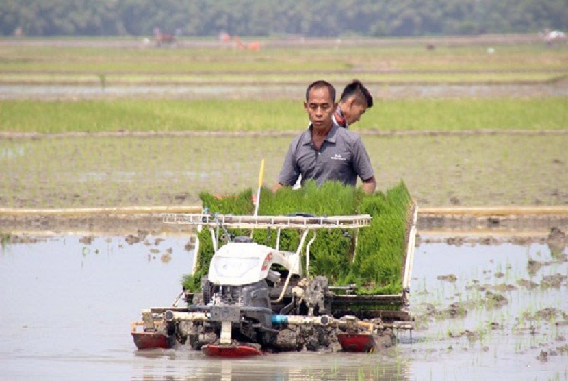 Penyuluh Kabupaten Blitar, Provinsi Jawa Timur mendampingi petani di Kecamatan Wlingi mempercepat tanam padi pada fase New Normal untuk menangkal dampak musim kemarau.