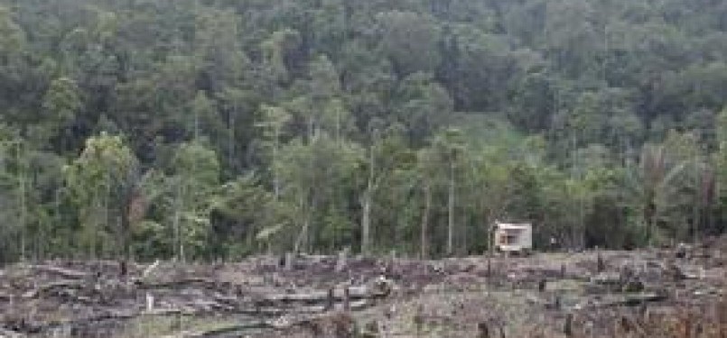 Penyusutan luas hutan akibat penggundulan dan konversi. (ilustrasi)
