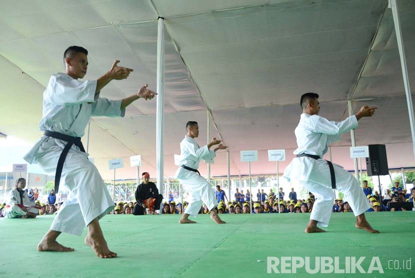 Ilustrasi. Atlet cabang olahraga karate Provinsi Sulawesi Tengah (Sulteng) optimistis dapat merebut medali emas PON 2020 Papua.