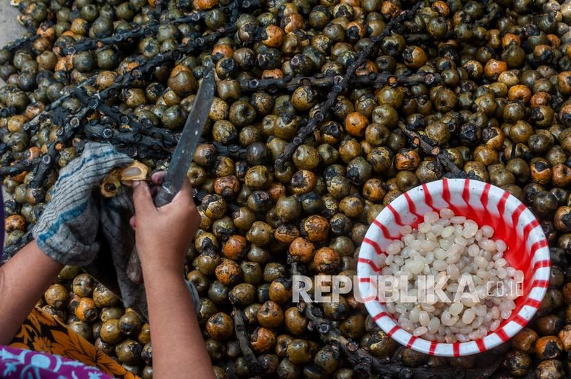 Perajin mengupas kulit buah kolang-kaling (ilustrasi). Perajin kolang-kaling di Rejang Lebong yang saat ini produknya mulai diekspor ke Filipina diminta menjaga kualitas barang yang dihasilkan sehingga tidak mengecewakan konsumen.