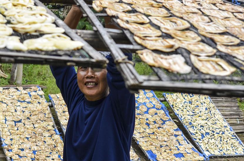 Perajin menjemur sale pisang di Desa Cintajaya, Kabupaten Ciamis, Jawa Barat, Ahad (7/2/2021). Kementerian Keuangan mengalokasikan anggaran untuk program pemulihan ekonomi nasional (PEN) 2021 Rp 627,9 triliun, sebesar Rp 157,57 triliun ditujukan untuk mendukung UMKM dan koperasi.
