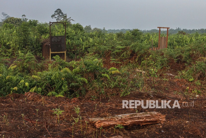 Perangkap yang dipasang petugas gabungan di area perlintasan harimau sumatra di kawasan Plangiran, Indragiri Hilir, Riau, Senin (19/3).