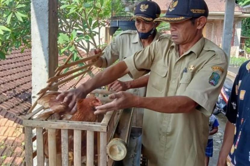 Perangkat Desa Sendangagung di Kecamatan Plaosan, Kabupaten Magetan, Jawa Timur, menyalurkan bantuan ayam petelur bagi warga yang menjadi sasaran program “Petek” (Pengentasan Terpadu Kemiskinan).