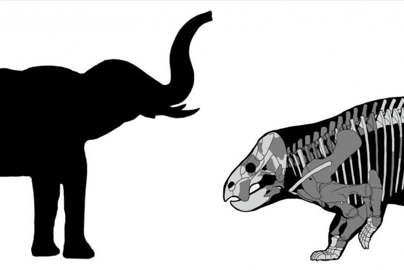 Perbandingan antara Lisowicia bojani dengan gajah baru-baru ini digambarkan dalam ilustrasi ini yang diberikan pada 21 November 2018.