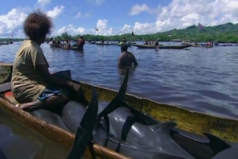 Perburuan lumba-lumba di Kepulauan Solomon
