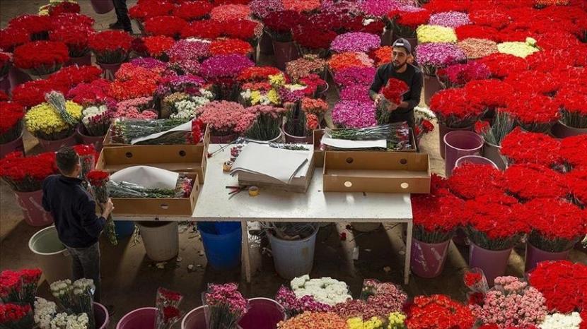 Perdagangan bunga di Turki 