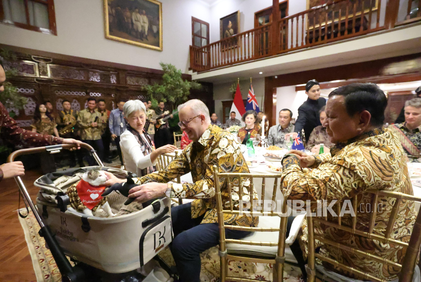 Perdana Menteri (PM) Australia Anthony Albanese memberikan hadiah kucing Presiden RI Prabowo Subianto, Bobby Kertanegara saat jamuan makan malam di Istana Merdeka, Jakarta Pusat, Kamis (15/5/2025).