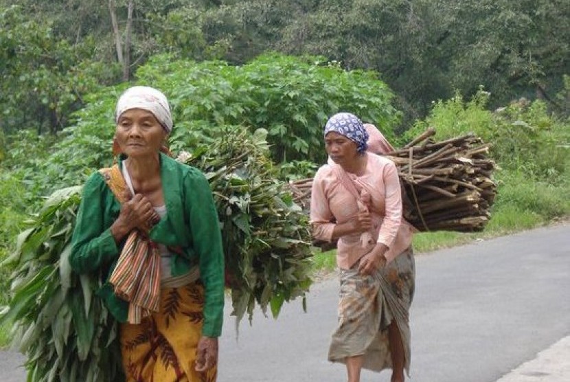 Perempuan tua dari Suku Tengger membawa kayu bakar dan makanan ternak di kaki Gunung Bromo, Jawa Timur.