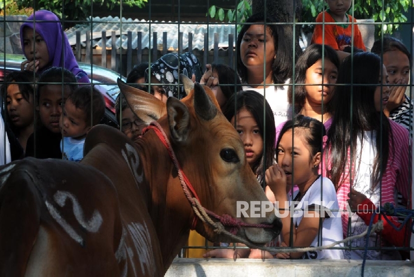 Perhatikan faktor usia dan kesiapan saat membawa anak melihat penyembelihan hewan kurban.