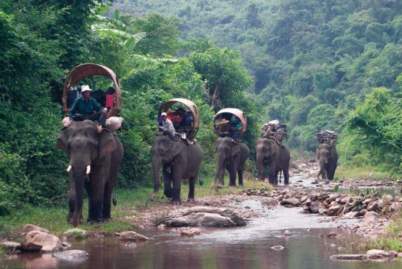 Perjalanan karavan ini akan menyoroti perlunya Otoritas Laos dan para pemilik lahan melindungi habitat gajah. 
