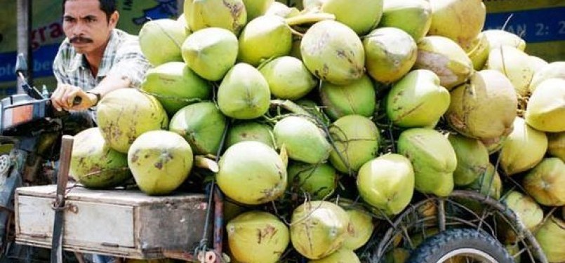 Permintaan buah kelapa meningkat tajam di bulan puasa Ramadhan. (ilustrasi)