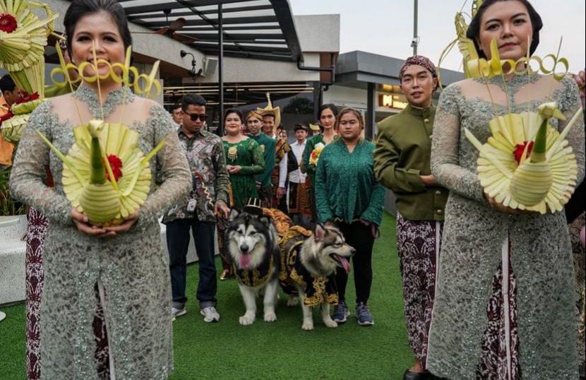 Pernikahan anjing, Luna dan Jojo diberkati Pasto Lorenzo Heli dari Gereja Santo Fransiskus Asisi Paroki Tebet. Dinas Kebudayaan DIY mengecam pernikahan anjing dengan menggunakan adat Jawa.