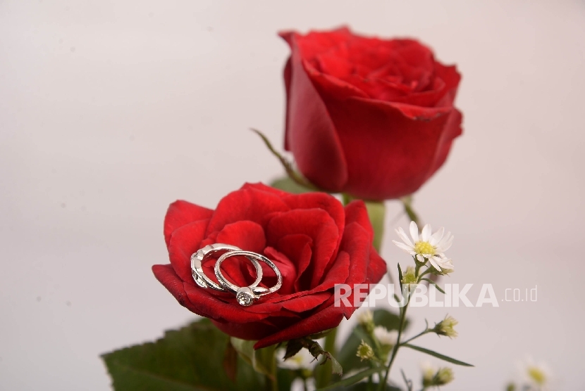 Solusi untuk yang Baru Akad Nikah Namun Istri Sedang Haid. Foto: Pernikahan (ilustrasi)