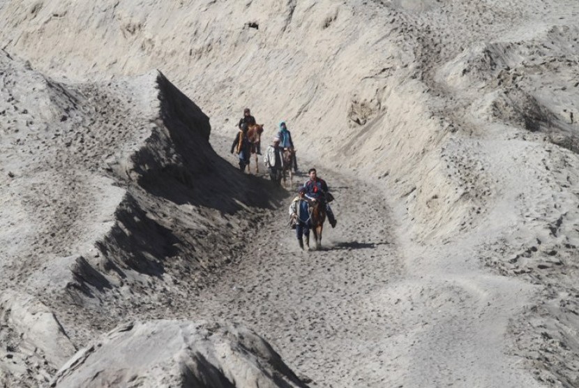 Persewaan Kuda di jalan berpasir Gunung Bromo