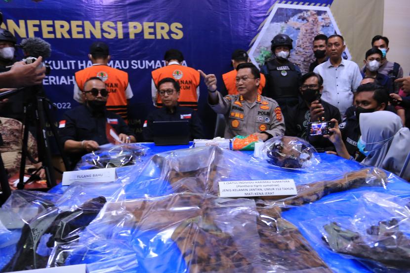Personel Direktorat Jenderal Penegakan Hukum Lingkungan Hidup dan Kehutanan (Gakkum) Balai Pengamanan dan Penegakan Hukum Lingkungan Hidup dan Kehutanan bersama Kepolisian Polda Aceh memperlihatkan tersangka dan barang bukti kulit harimau sumatera saat gelar perkara di Mapolda Aceh, Aceh, Jumat (3/6/2022). Tim Penyidik Gakkum KLHK wilayah Sumatera menetapkan tiga tersangka dengan inisial IS (48), A (41) dan S (44) dalam kasus perdagangan kulit harimau sumatera yang berhasil diungkap saat operasi peredaran Tumbuhan dan Satwa Liar (TSL) di SPBU Pondok Baru, Kecamatan Bandar, Kabupaten Bener Meriah pada Selasa (24/5/2022) lalu