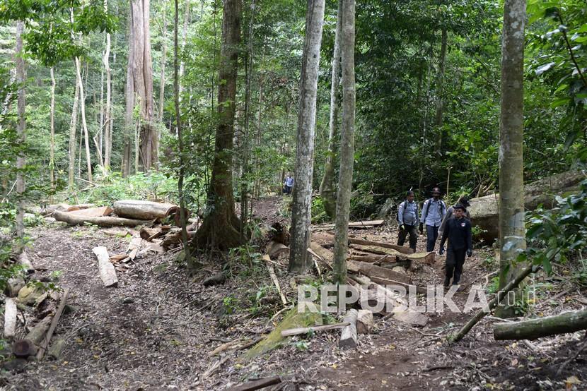 Personel Polri berjalan melintas di salah satu lokasi pembalakan liar di hutan Pegunungan Seulawah, Pemukiman Lamteuba, Kecamatan Seulimum, Kabupaten Aceh Besar, Aceh (ilustrasi)