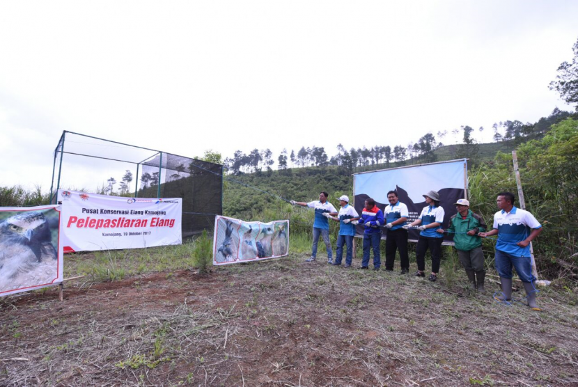 Pertamina bersama Pusat Konservasi Elang Kamojang (PKEK), melepasliarkan dua elang jenis elang ular ke alam bebas setelah satu tahun menjalani rehabilitasi.