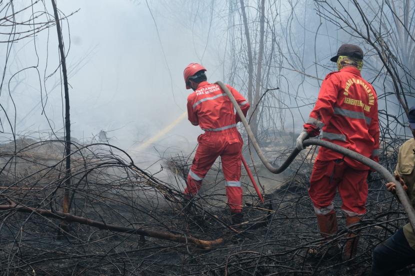 Pertamina Group berkolaborasi bersama berbagai pihak untuk membantu menanggulangi bencana kebakaran hutan dan lahan (karhutla) di wilayah tersebut dengan mengerahkan 206 personel pemadam kebakaran tersertifikasi.