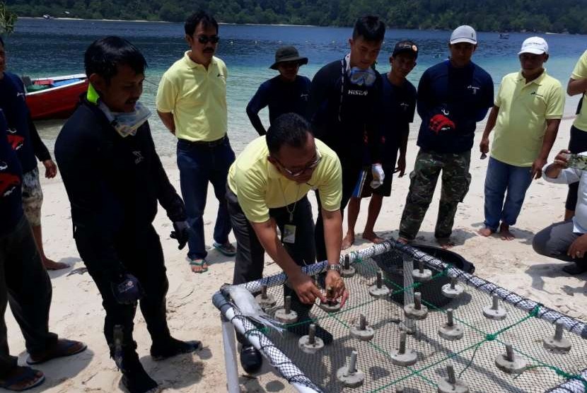 Pertamina Bangun Taman Bawah Laut di Perairan Padang 