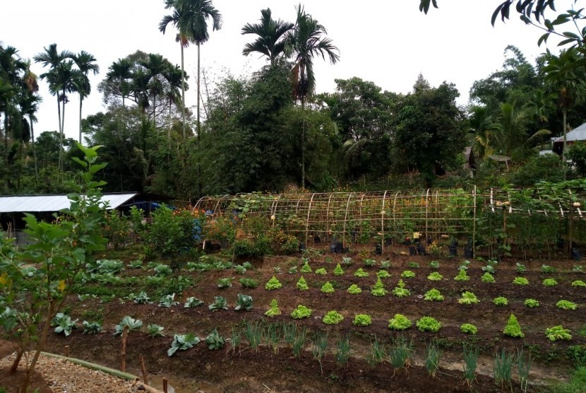 Pertanian organik di Sumatra Barat