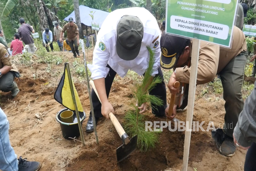 Perhutani Gelar Tanam Pohon Bersama di Kawasan Hutan Lindung Gunung Manglayang