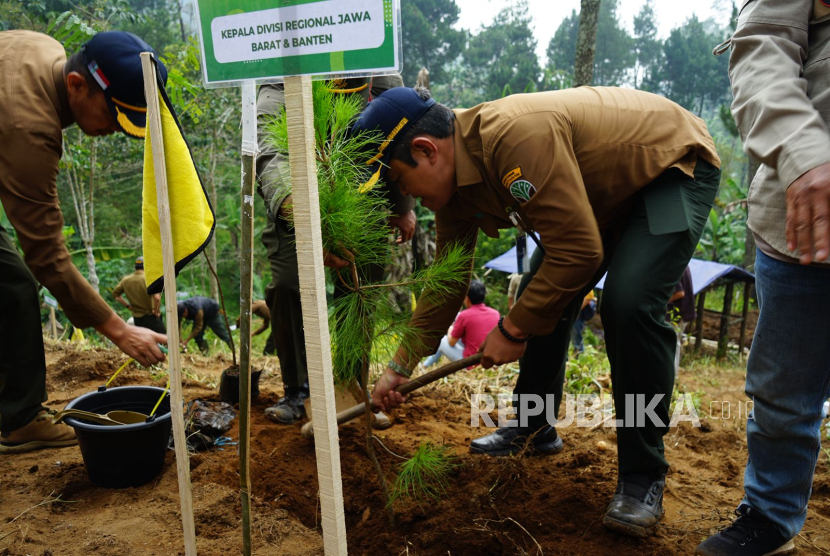 Perum Perhutani Divisi Regional Jawa Barat dan Banten menggelar kegiatan Penanaman Pohon Bersama di kawasan Hutan Lindung Blok Patok Besi, Petak 18A, Resort Pemangkuan Hutan (RPH) Genteng, Bagian Kesatuan Pemangkuan Hutan (BKPH) Manglayang Timur, KPH Sumedang, Kampung Palintang, Desa Cipanjalu, Kecamatan Cilengkrang, Kabupaten Bandung, Selasa (21/10/2025).