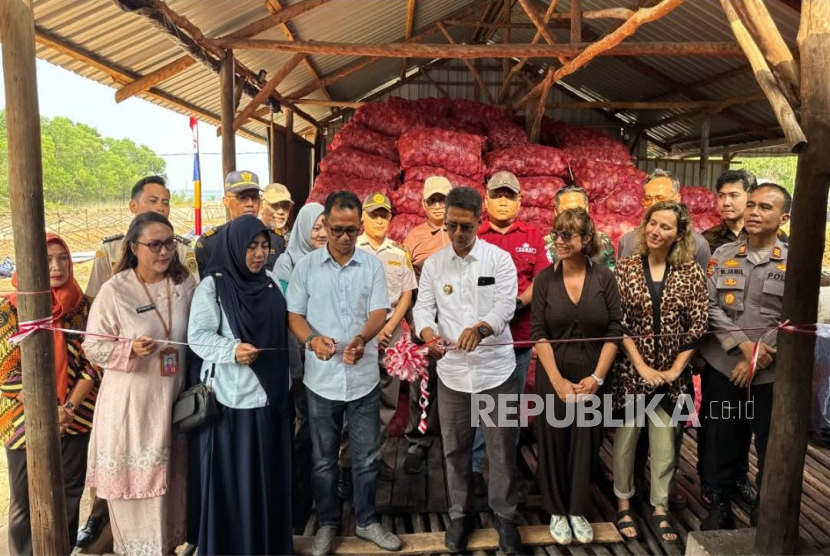 Perusahaan binaan Bea Cukai Karimun, PT Moro Maju  Sejahtera mengekspor perdana 26 ton kopra ke Malaysia, Jumat (21/8/2026). 