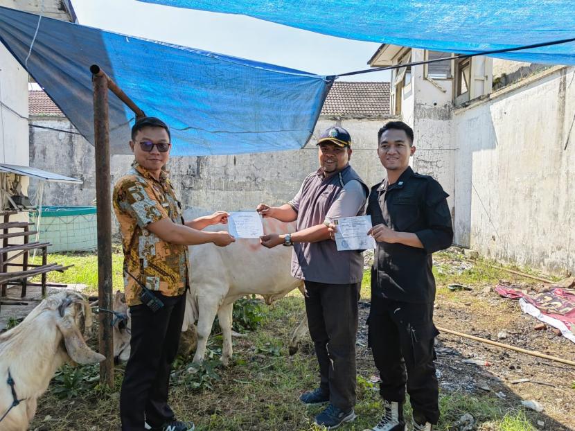Perwakilan UMM menyerahkan sapi kurban kepada petugas Lapas Perempuan Malang.