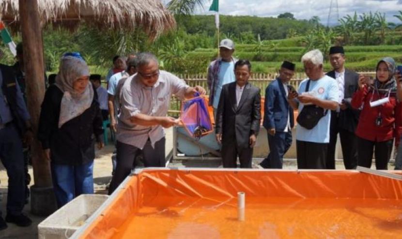 Modern boarding school Assalam Putri is involved in Eel Fish cultivation