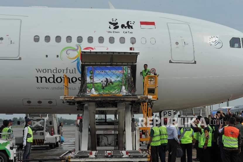 Pesawat kargo Garuda Indonesia