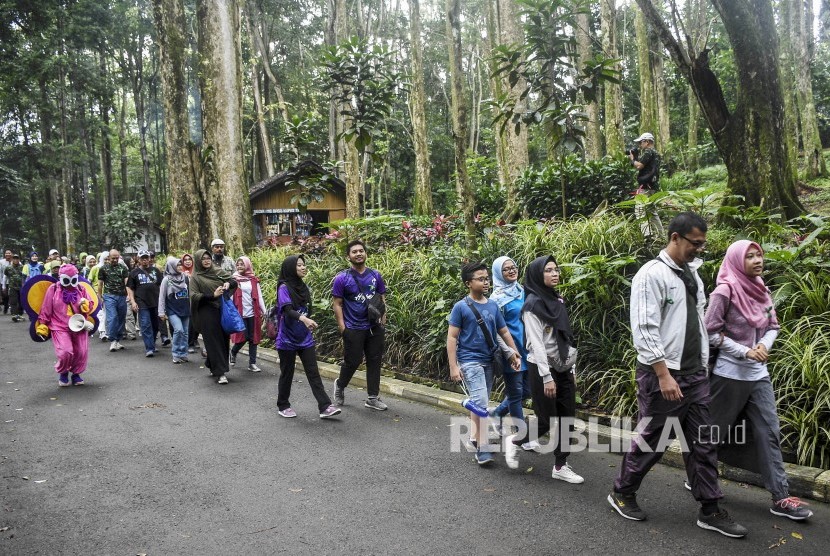 Pengunjung berjalan di Taman Hutan Raya Ir H Djuanda, Cimenyan, Kabupaten Bandung