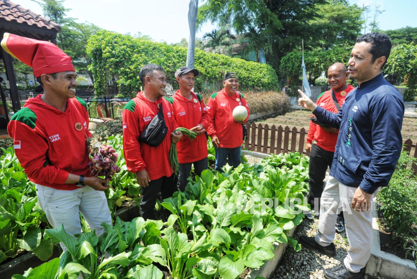 Hari Pangan Sedunia, 25 Petani Inspiratif Raih Penghargaan Master Panen 2025