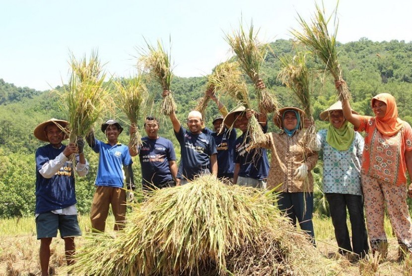 Petani binaan LAZ Al Azhar.