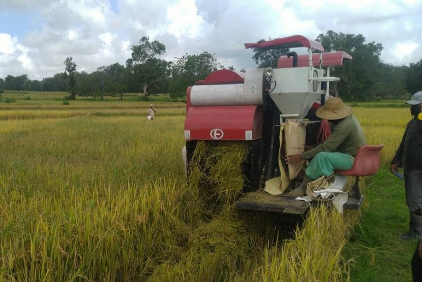  Petani di Kabupaten Balangan tetap melakukan panen raya padi meskipun di tengah pandemi covid 19 atau virus corona. Keberhasilan ini karena petani bersama Petugas Pengendali Organisme Pengganggu Tumbuhan (POPT) terus melakukan pengendalian ham wereng selama masa pertumbuhan padi.