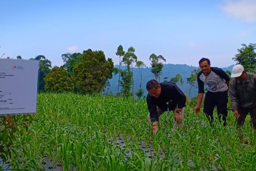 Petani di Kecamatan Pujon Malang, Jawa Timur melakukan kemitraan dengan importir.