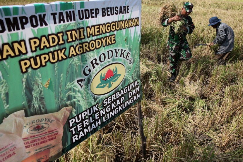 Petani dibantu anggota Babinsa Koramil Baitussalam memanen padi hasil uji coba penggunaan pupuk organik 'agrodyke' di Desa Limpok, Aceh Besar, Aceh, Senin (14/3).