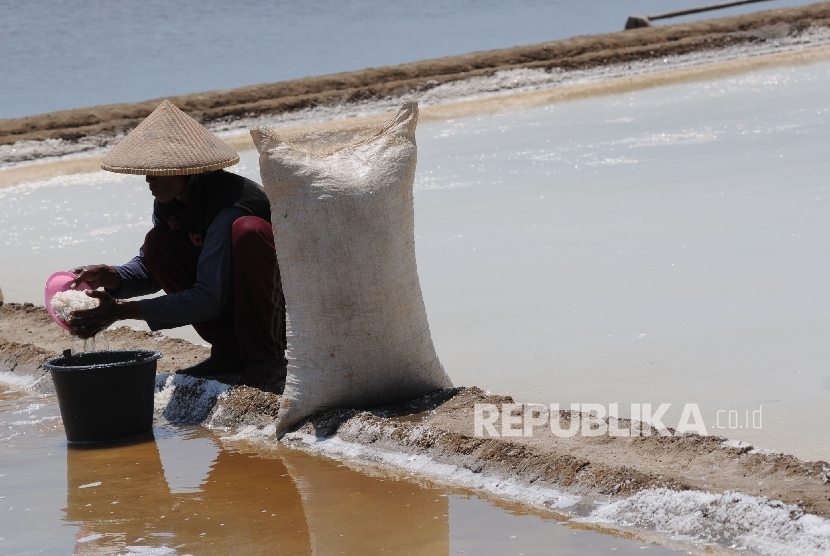 Petani garam di Cirebon. Dinas Kelautan dan Perikanan Kabupaten Cirebon, Jawa Barat, mencatat produksi garam rakyat pada musim kemarau tahun 2020 ini turun apabila dibandingkan dengan sebelumnya, hal ini diakibatkan adanya kemarau basah.
