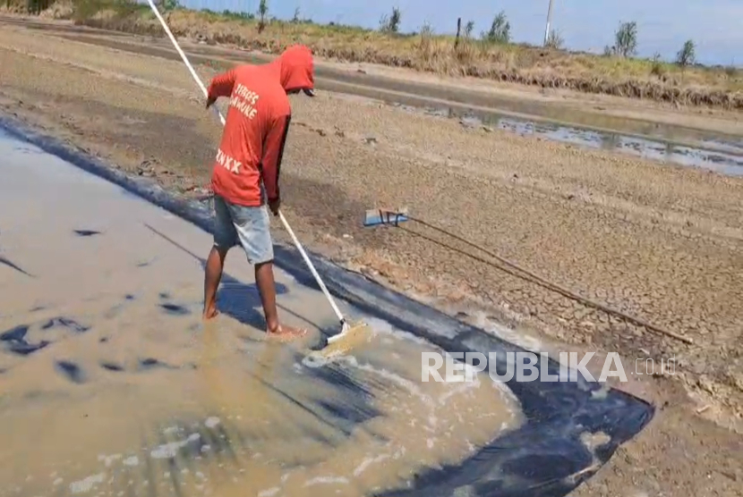 Petani garam di Desa Tanjakan, Kecamatan Krangkeng, Kabupaten Indramayu, sedang melakukan pengolahan lahan tambak garam, Rabu (27/8/2025). Produksi garam mereka pada tahun ini terhambat hujan yang terus mengguyur di musim kemarau. 