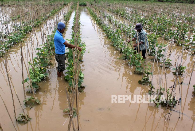 Kementan-BNI salurkan KUR Rp 4,1 M untuk petani Karanganyar. Foto petani (ilustrasi)